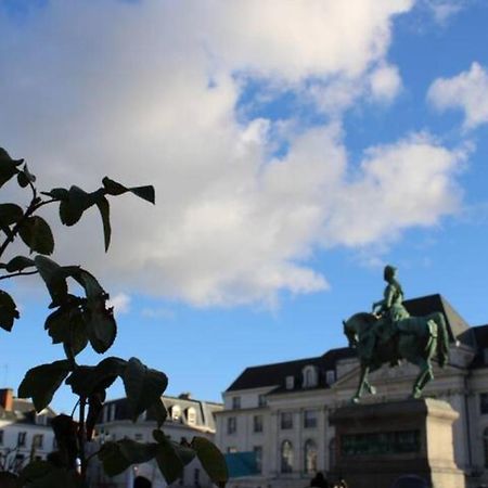 Le Scandinave, Proche Bord De Loire Orléans Dış mekan fotoğraf