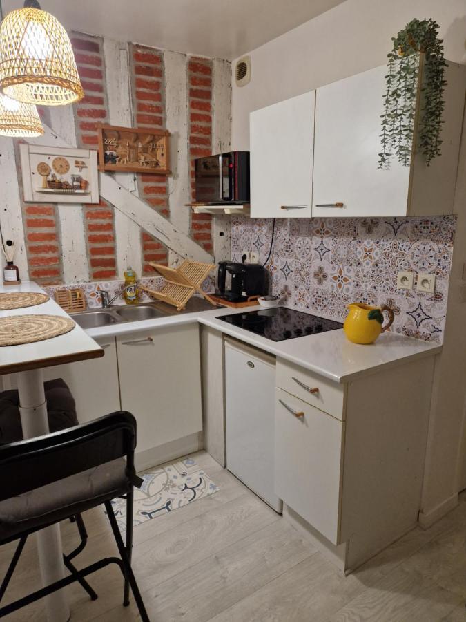 Le Scandinave, Proche Bord De Loire Orléans Dış mekan fotoğraf